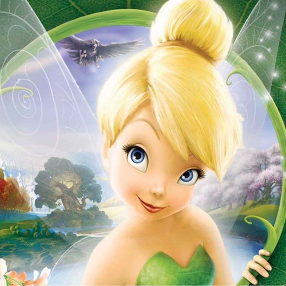 TINKERBELL MYSTERY BOX